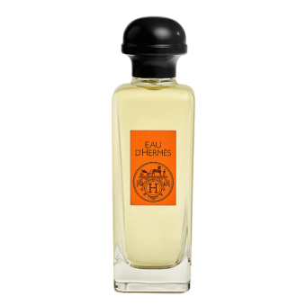 Eau D' Hermès 100ml Tester - Hermès EDT