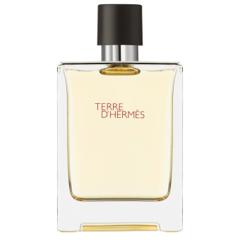 Terre d' hermès 100ml Tester - Hermès EDT