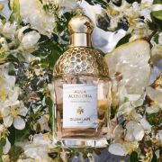 Aqua Allegoria Pera Granita 125ml Tester - Guerlain EDT