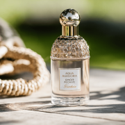 Aqua Allegoria Ginger Piccante 125ml Tester - Guerlain EDT
