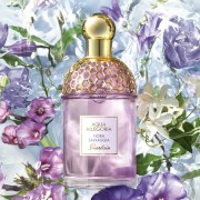 Aqua Allegoria Flora Selvaggia 100ml Tester - Guerlain EDT