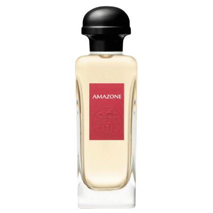Amazone 100ml Tester - Hermès EDT
