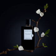 Bois D'Amande 75ml Tester - Van Cleef & Arpels EDP
