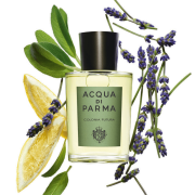 Colonia Futura 100ml Tester - Acqua di Parma