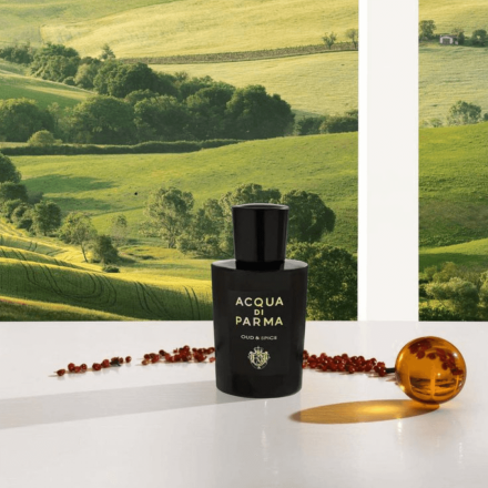 Oud&Spice 100ml Tester - Acqua di Parma EDP