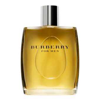 Burberry For Men 100ml Tester - Burberry EDT