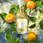 Aqua Allegoria Mandarine Basilic 125ml Tester - Guerlain EDT
