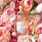 Aqua Allegoria Rosa Rossa 125ml Tester - Guerlain EDT
