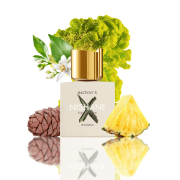 Hacivat X 100ml Tester - Nishane Extrait de Parfum