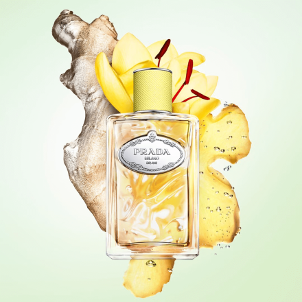 Infusion De Gingembre 100ml Tester - Prada EDP