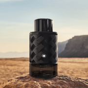 Explorer Extreme 100ml Tester - MontBlanc EDP