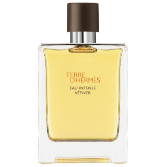 Terre D’Hermès Eau Intense Vetiver 100ml Tester - Hermès EDP
