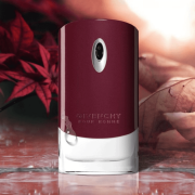 Pour Homme 100ml Tester - Givenchy EDT