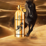 Arabian 100ml Tester - Montale EDP