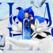 Rendez-vous à Milan - Montale EDP