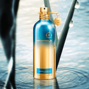 Herbal Aquatica Tester 100ml - Montale EDP