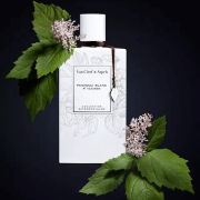 Patchouli Blanc 75ml Tester - Van Cleef & Arpels EDP