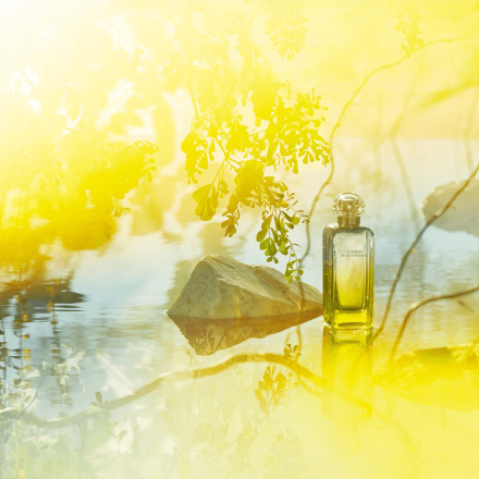 Un Jardin de Monsieur Li 100ml Tester - Hermès EDT