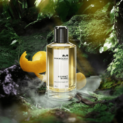 Cedrat Boise - Mancera EDP