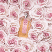 Indomable 100ml - Morph EDP Intense