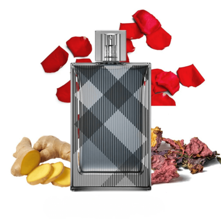 Burberry Brit For Him 100ml Tester - Burberry EDT