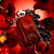 Scarlet Poppy 100ml Tester - Jo Malone EDC Intense