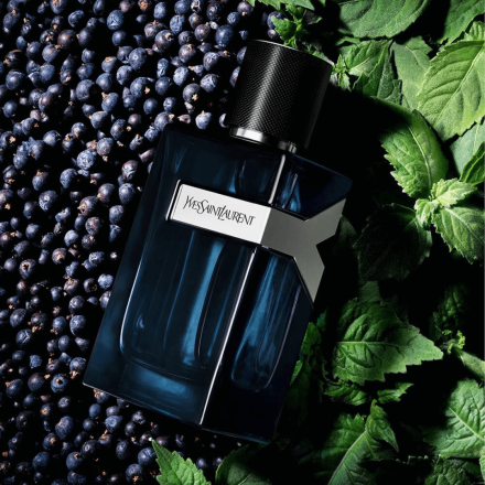 Y 100ml Tester  - Yves Saint Laurent EDP Intense