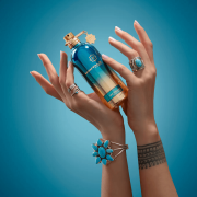 Day Dream 100ml Tester - Montale EDP