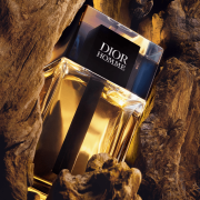 Homme 100ml Tester - Dior EDT