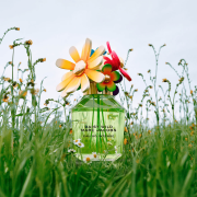 Daisy Wild so Eau Intense 100ml Tester - Marc Jacobs EDP