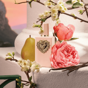 My Devotion 100ml Tester - Dolce&Gabbana EDP Intense