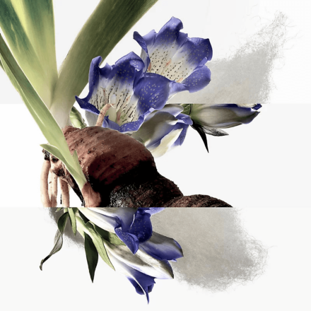 Eau de gentiane blanche 100ml Tester - Hermès EDC