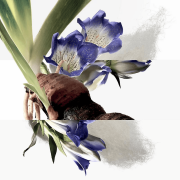 Eau de gentiane blanche 100ml Tester - Hermès EDC