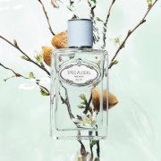 Infusion D'Amande 100ml Tester - Prada EDP