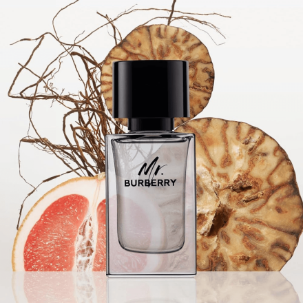 Mr. Burberry 100ml Tester - Burberry EDT