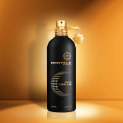 Oud Dream 100ml Tester - Montale EDP