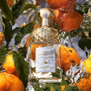 Aqua Allegoria Mandarine Basilic 125ml Tester - Guerlain EDT