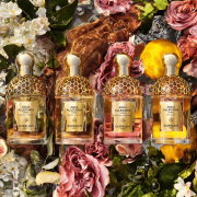 Aqua Allegoria Rosa Palissandro Forte 125ml Tester - Guerlain EDP