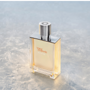 Terre D' Hermès Eau Givrée 100ml Tester - Hermès EDP