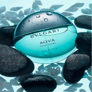 AQVA Pour Homme Marine 100ml Tester - Bvlgari EDT