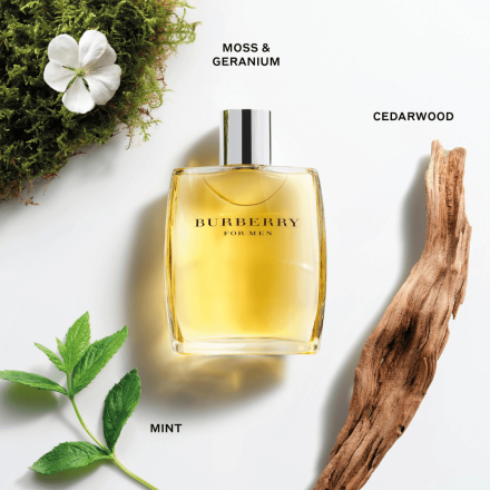 Burberry For Men 100ml Tester - Burberry EDT