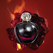 Poison 100ml Tester - Dior EDT